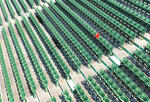 rows of green baseball stadium seats with one lone red chair