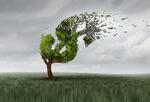tree in the shape of a dollar sign being blown in a storm