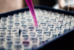 Purple pipette