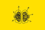 an illustrated brain with arrows pointing out in opposite directions