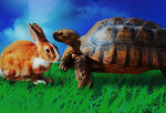 a real tortoise and hare facing one another on hyper-green grass