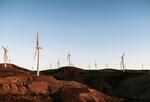 Photo of dozens of wind turbines on rocky landscape.