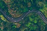 Aerial view of cars driving windy road between lush green forest.