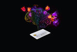 An illustration of a credit card with a brain above it with colorful flowers blooming out of the brain.