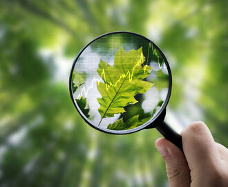 A hand holds a magnifying glass up against a leaf with a stock graph amongst a blurry forest background